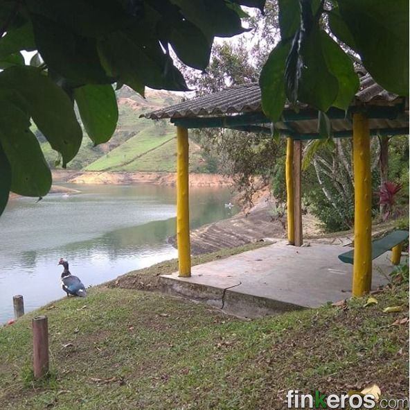 Finca #1420 Guatapé - Finca en Guatapé, Antioquia